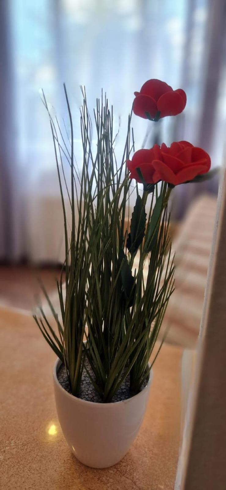 Stephanie Apartment-Centru Civic Брашов Екстериор снимка