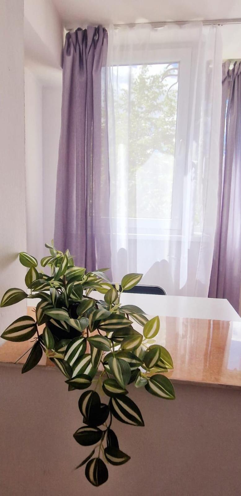 Stephanie Apartment-Centru Civic Брашов Екстериор снимка