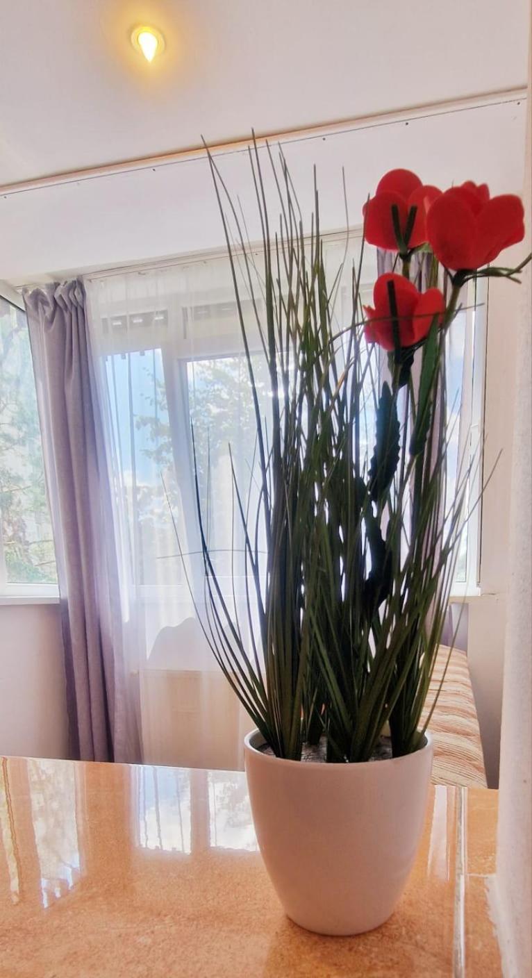Stephanie Apartment-Centru Civic Брашов Екстериор снимка