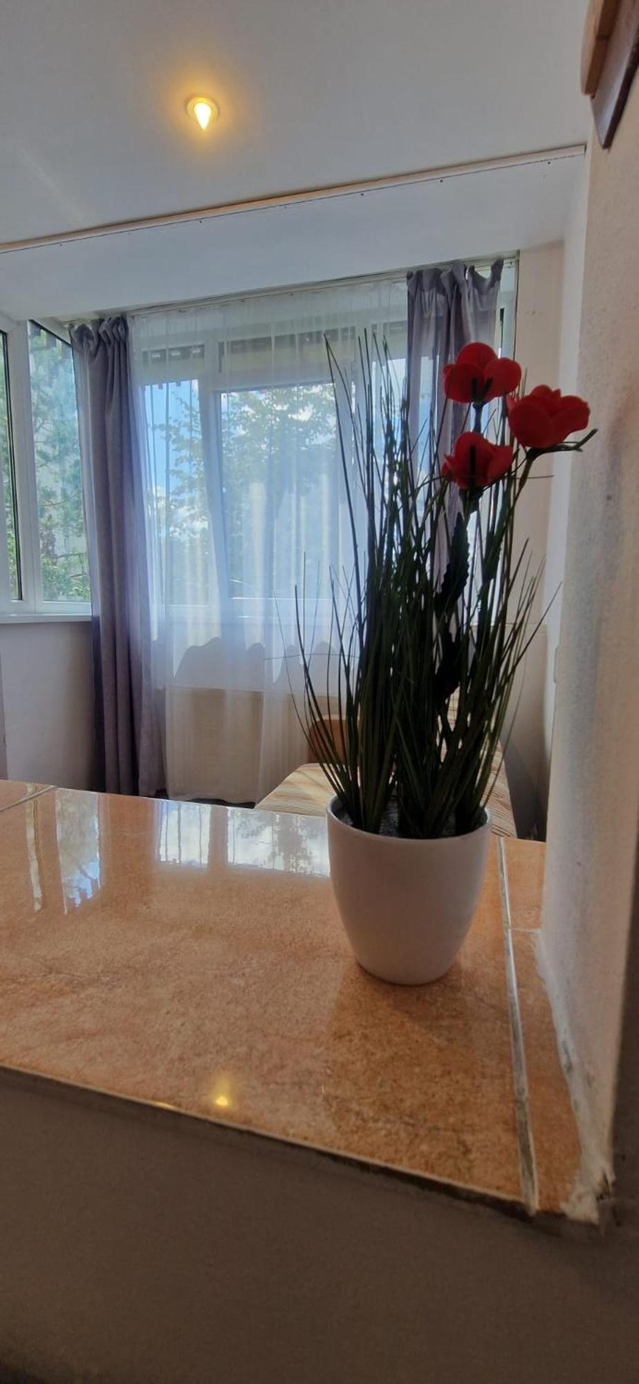 Stephanie Apartment-Centru Civic Брашов Екстериор снимка