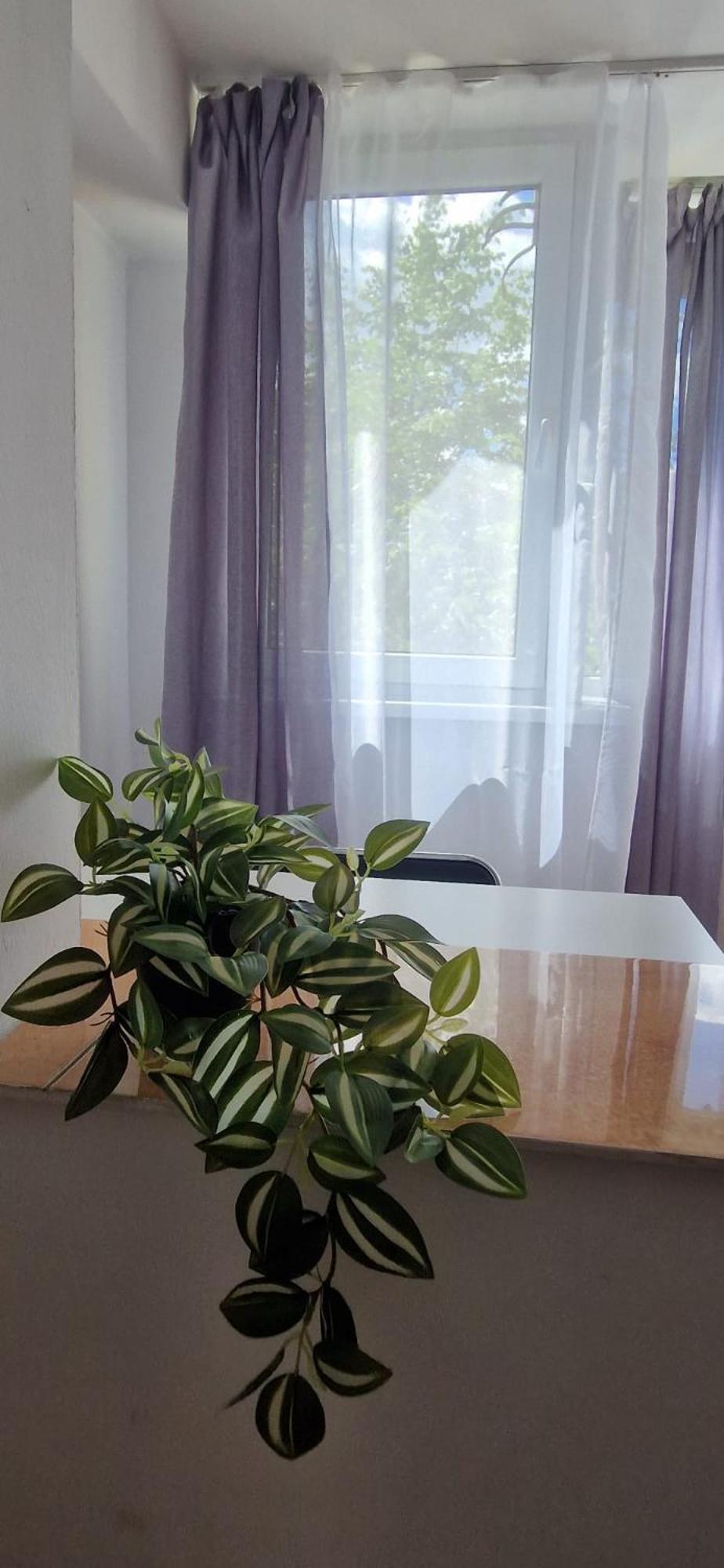 Stephanie Apartment-Centru Civic Брашов Екстериор снимка