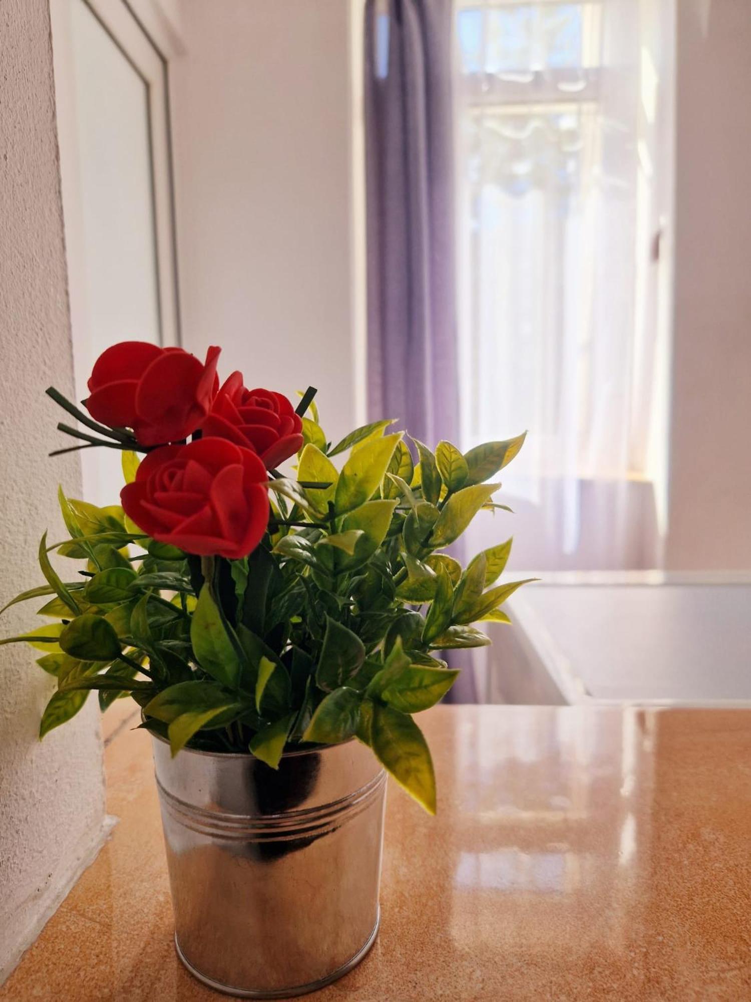 Stephanie Apartment-Centru Civic Брашов Екстериор снимка